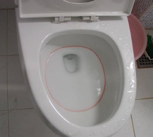 Actual pink biofilm ring inside a white toilet bowl