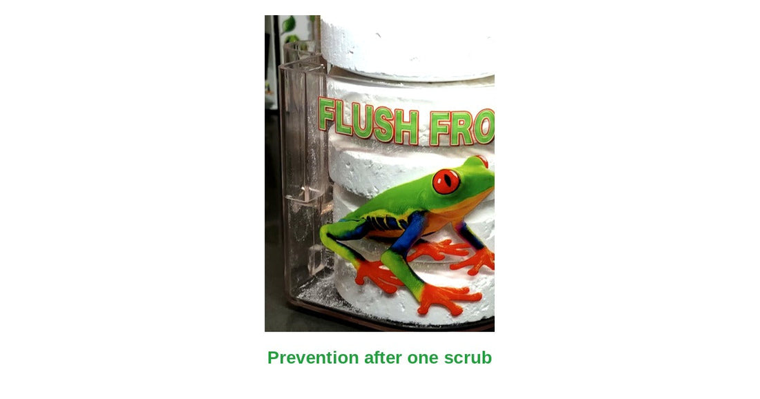 Flush Frog dispenser loaded with a toilet-cleaner tablet — prevention after one scrub