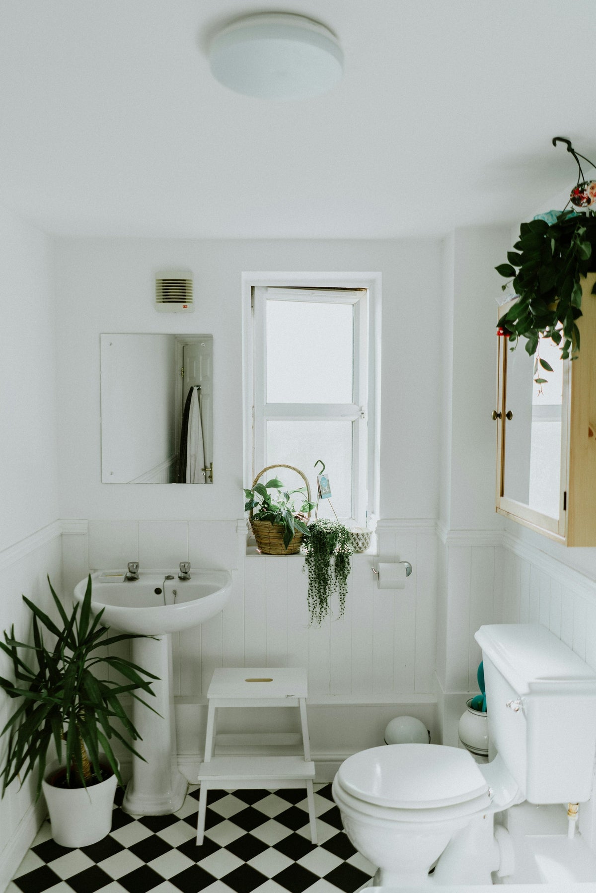 Tasteful upscale bathroom with a clean toilet for “Toilet Tank-to-Bowl Gasket Leaking: Diagnosis and Replacement”