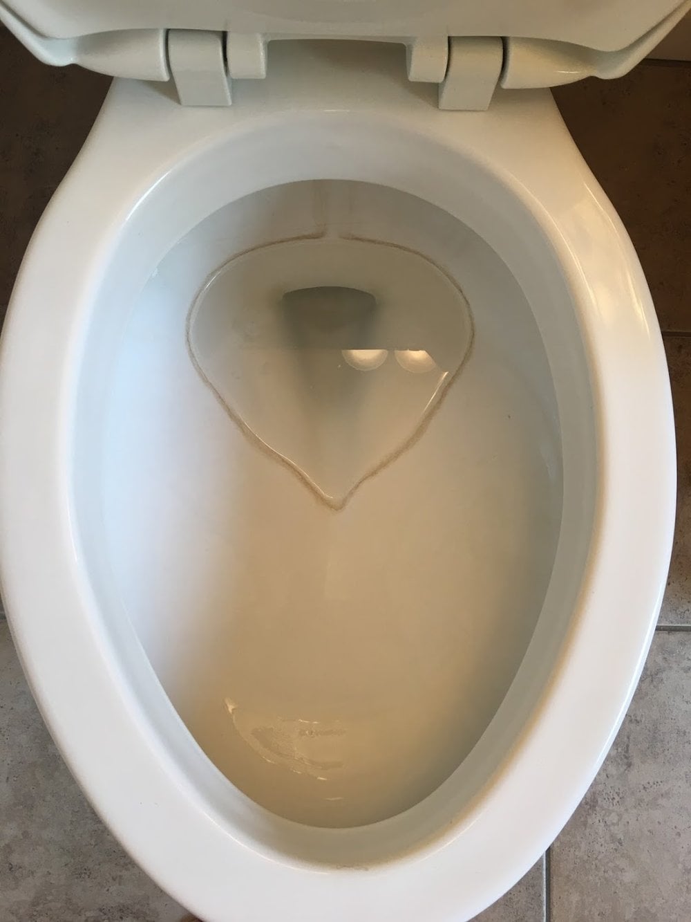 Actual hard-water mineral ring at the toilet bowl waterline